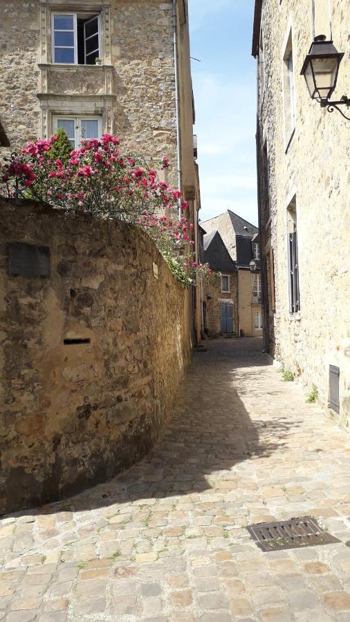 Petite Maison Romantique Au Calme, Coeur Historique Plantagenet, Vue Ville เลอม็องส์ ภายนอก รูปภาพ