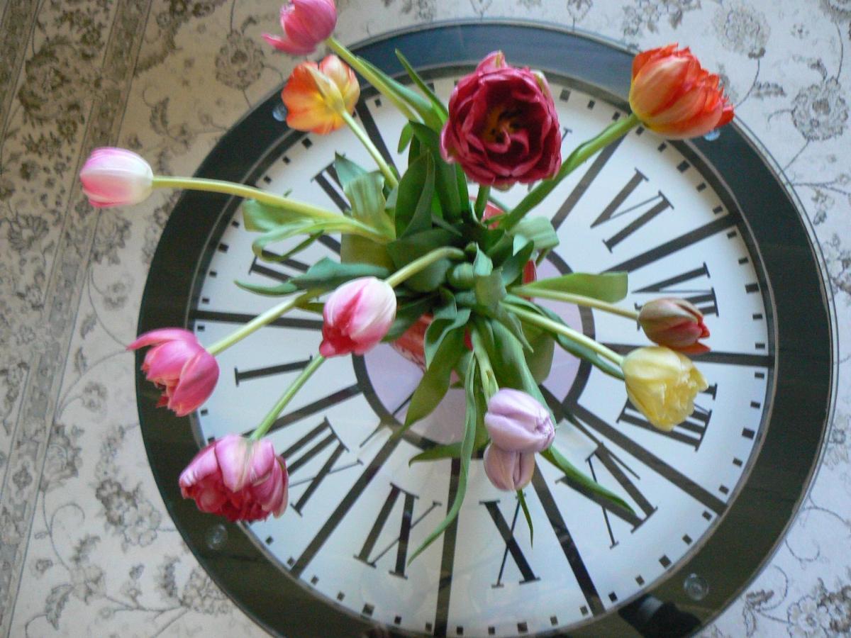 Petite Maison Romantique Au Calme, Coeur Historique Plantagenet, Vue Ville เลอม็องส์ ภายนอก รูปภาพ